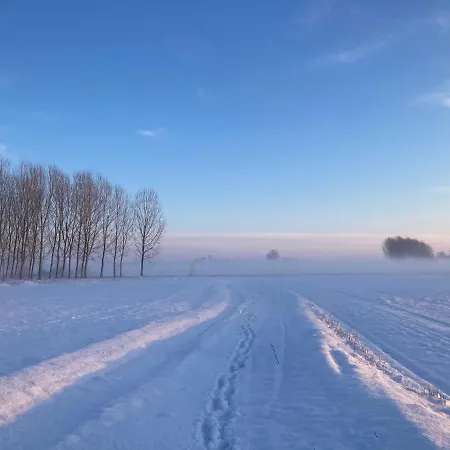 Campagnole Vicolungo