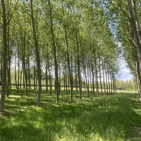 شقة فندقية Campagnole