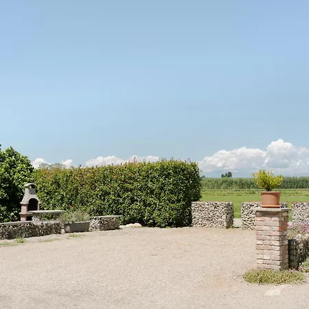 Campagnole فيكولونجو