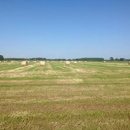 Campagnole شقة فندقية فيكولونجو